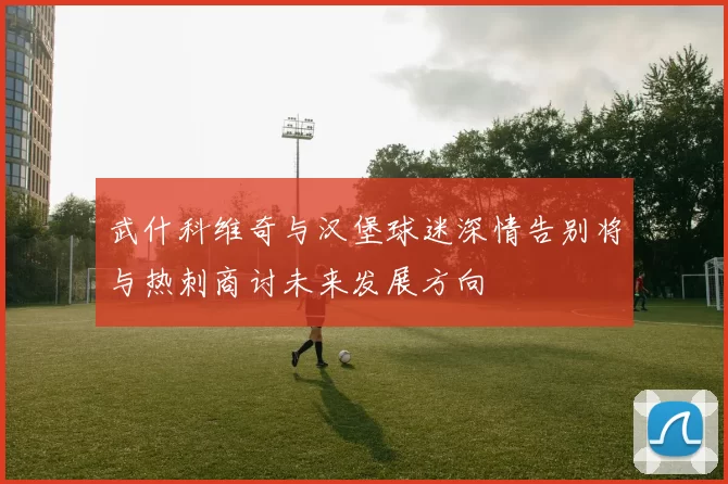武什科维奇与汉堡球迷深情告别将与热刺商讨未来发展方向